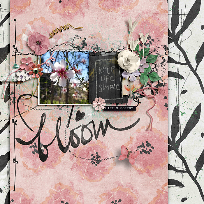 Bloom