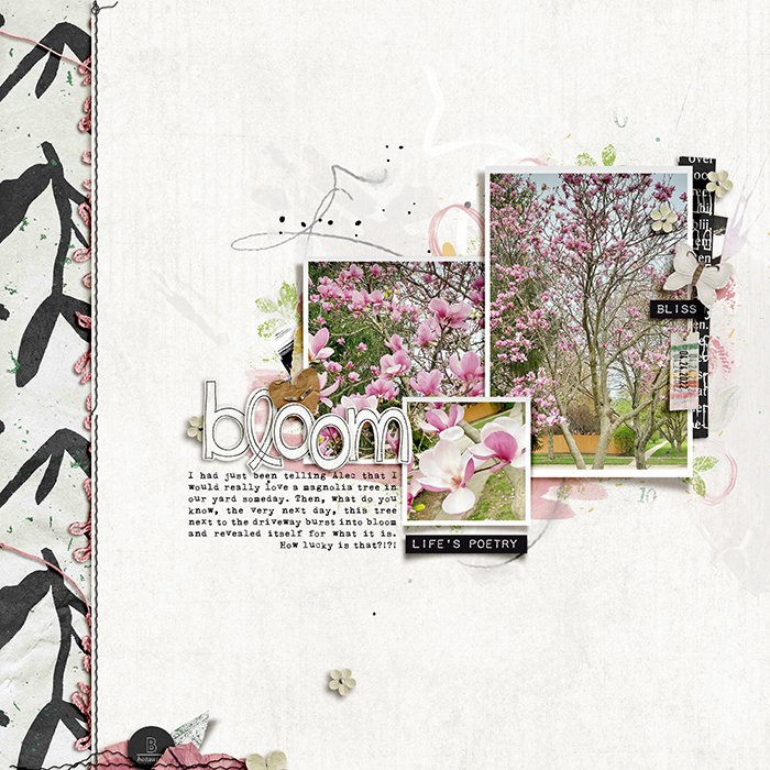 Bloom
