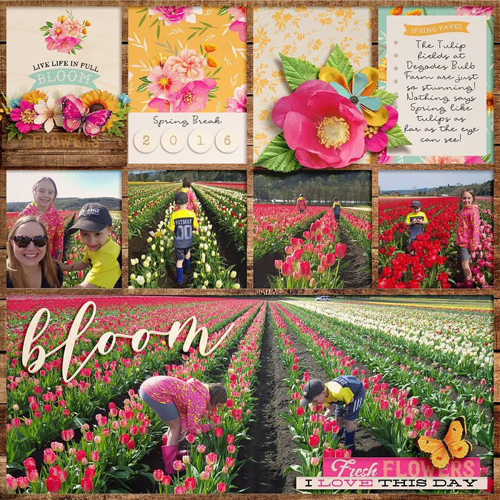 Bloom