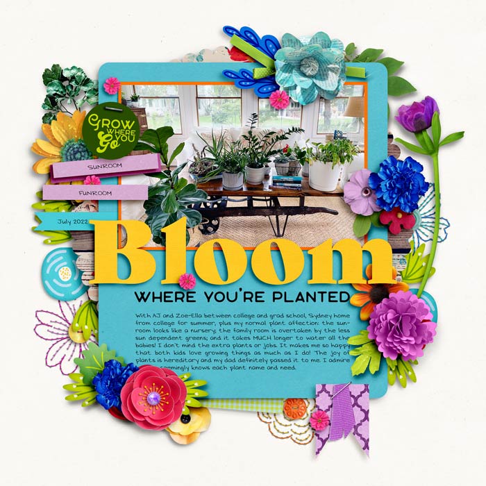 Bloom