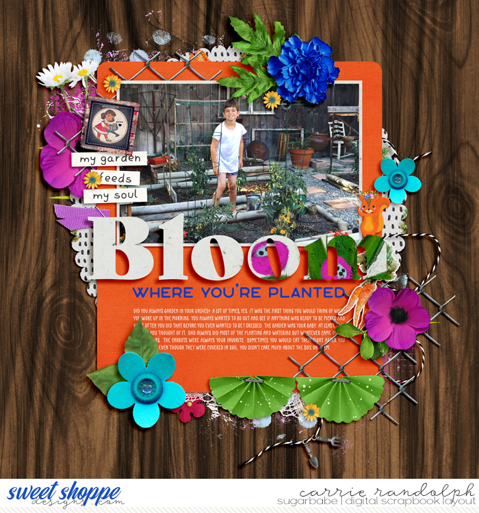 Bloom