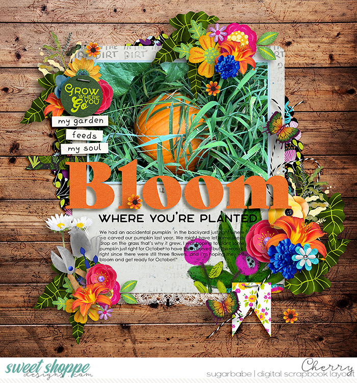 Bloom