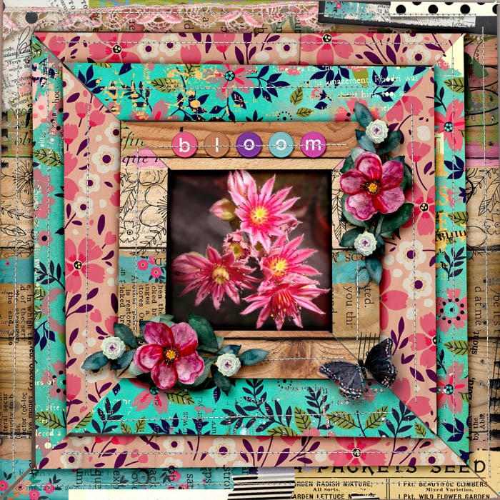 Bloom