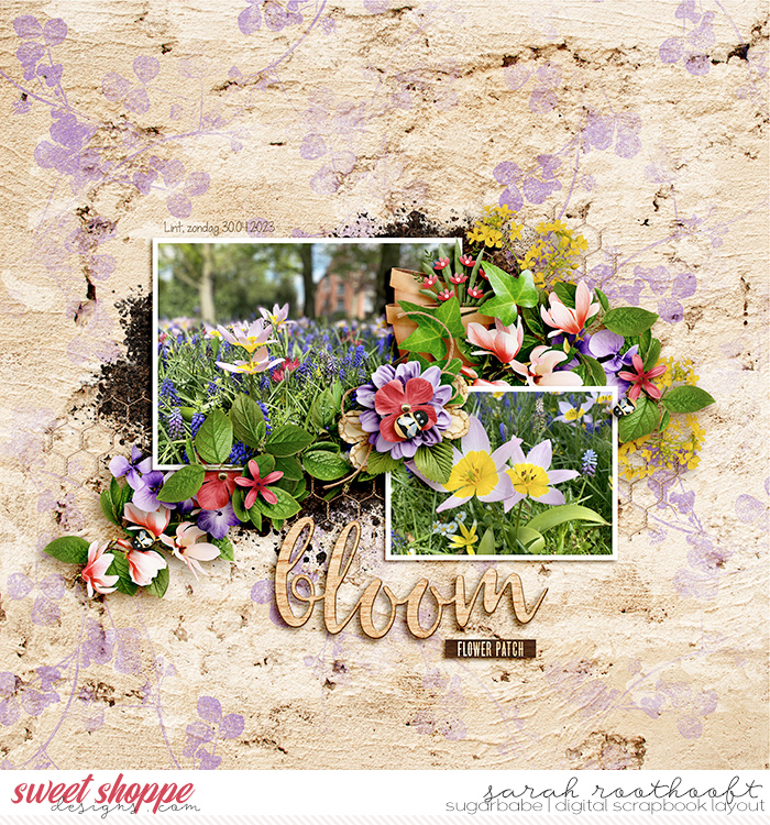 Bloom
