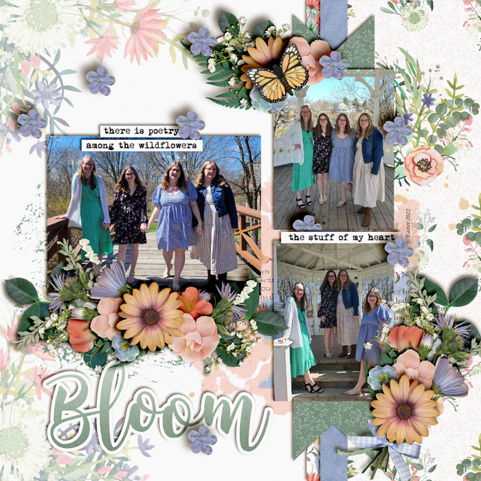 Bloom
