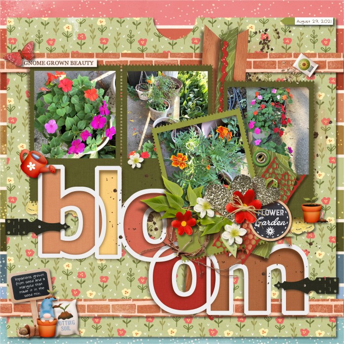 Bloom