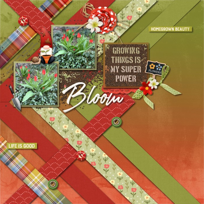 Bloom