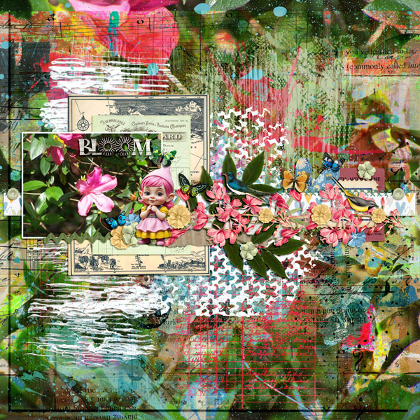 Bloom