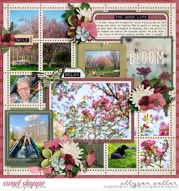Bloom