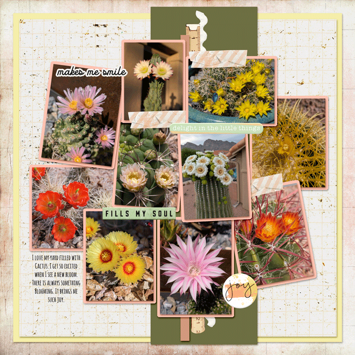 Blooming-Desert