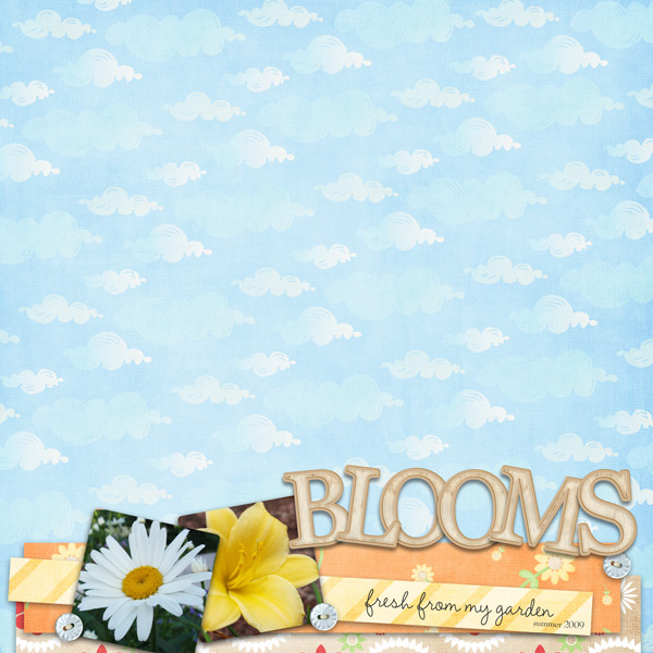 Blooms