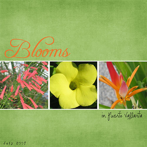 Blooms