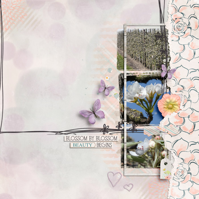 Blossom By Blossom