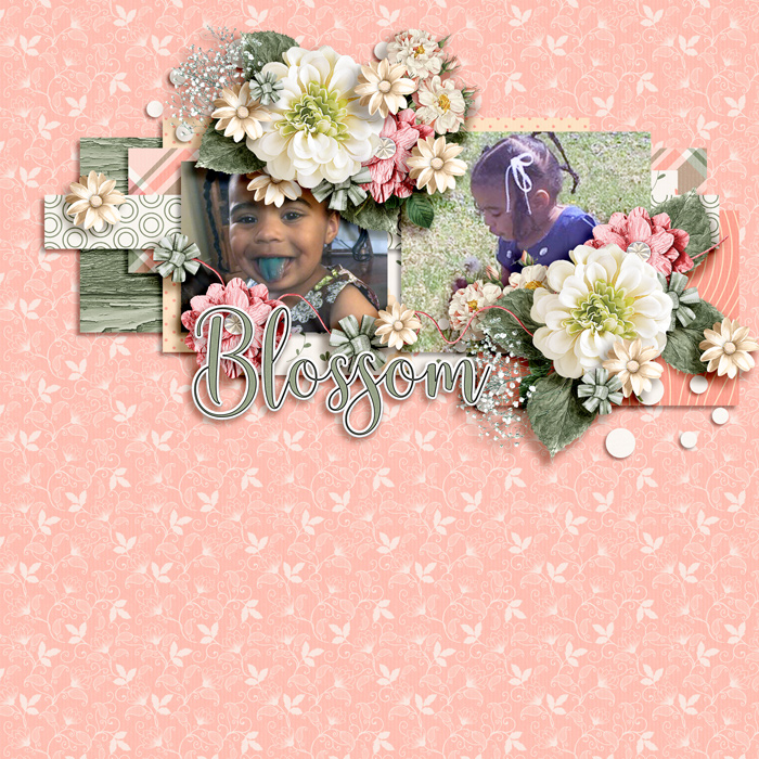 Blossom Cutie