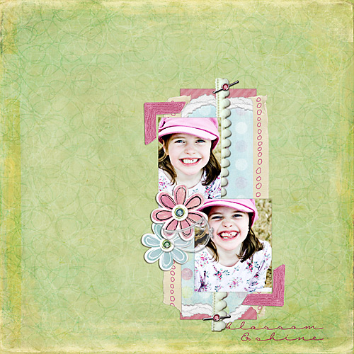 Blossom & Shine