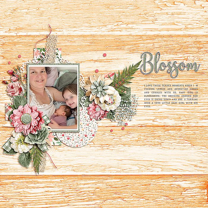 Blossom