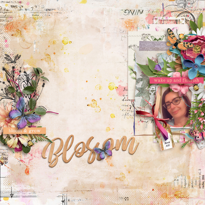 Blossom