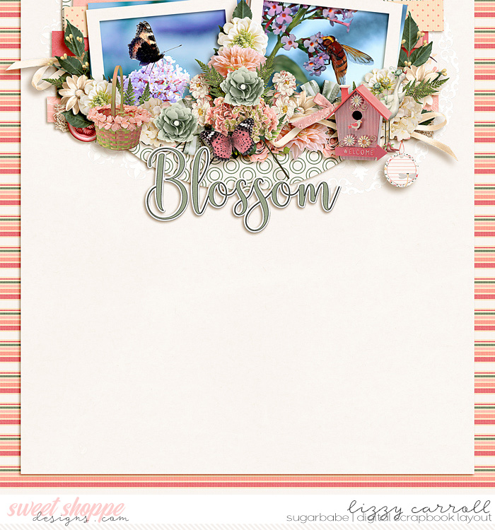 Blossom