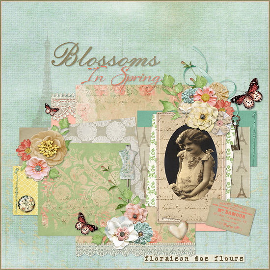Blossoms In Spring By Lana 2015