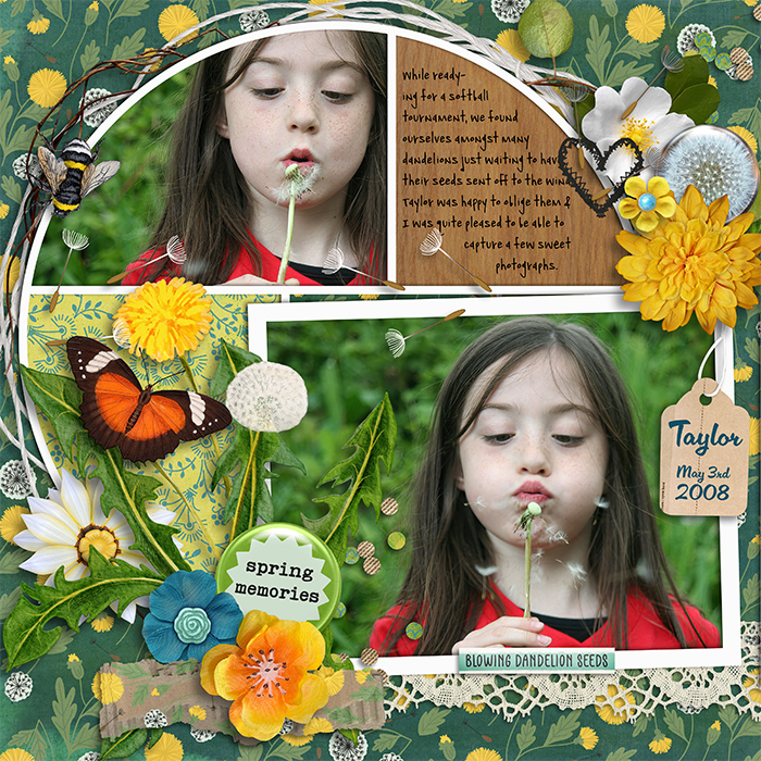 Blowing Dandelion Wishes