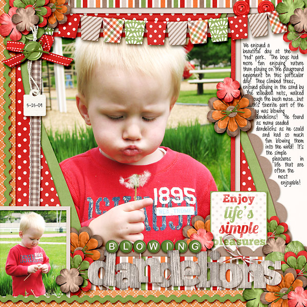Blowing Dandelions