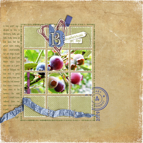 Blueberries (on Tap)