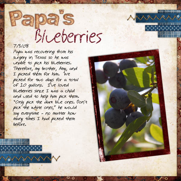 blueberries_copy