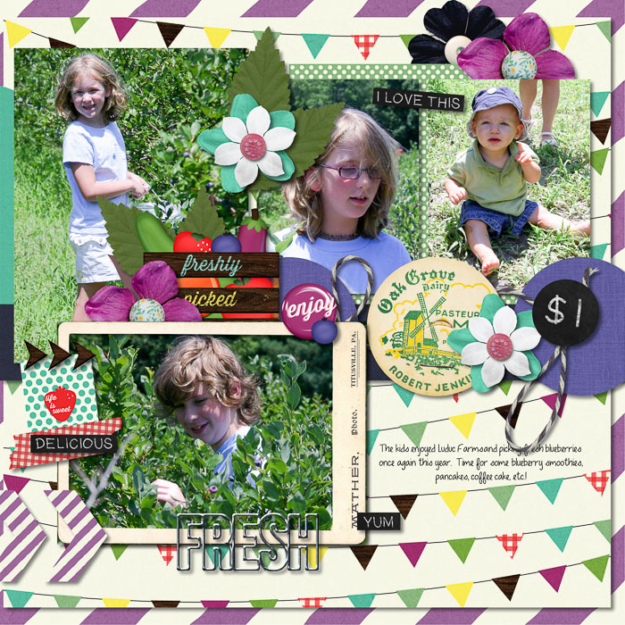 Blueberry Picking