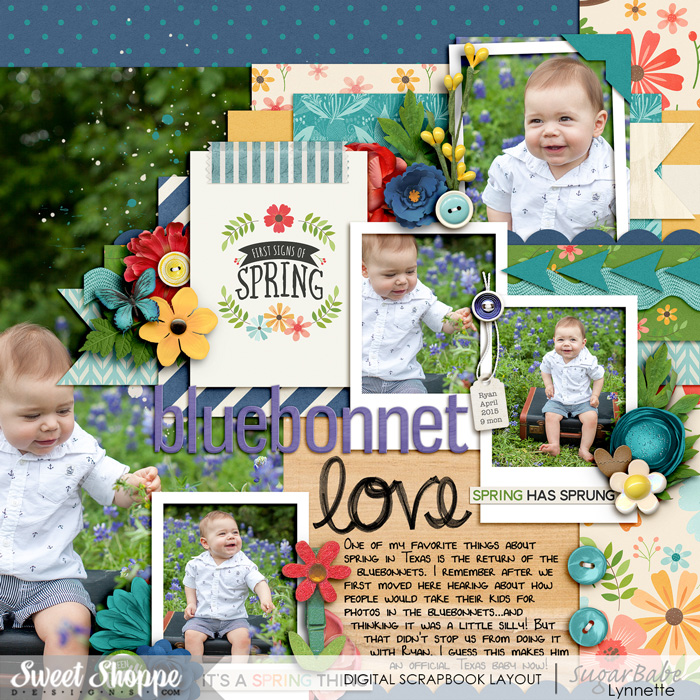 Bluebonnet Love