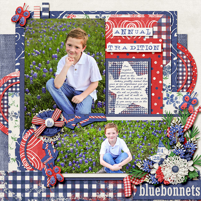 Bluebonnets-Annual Tradition (left side)