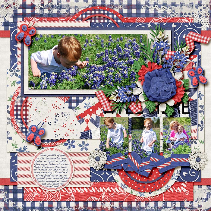 Bluebonnets-Annual Tradition (right side)