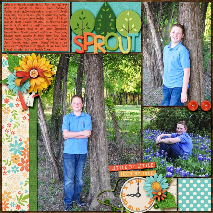 Bluebonnets right