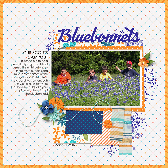 Bluebonnets