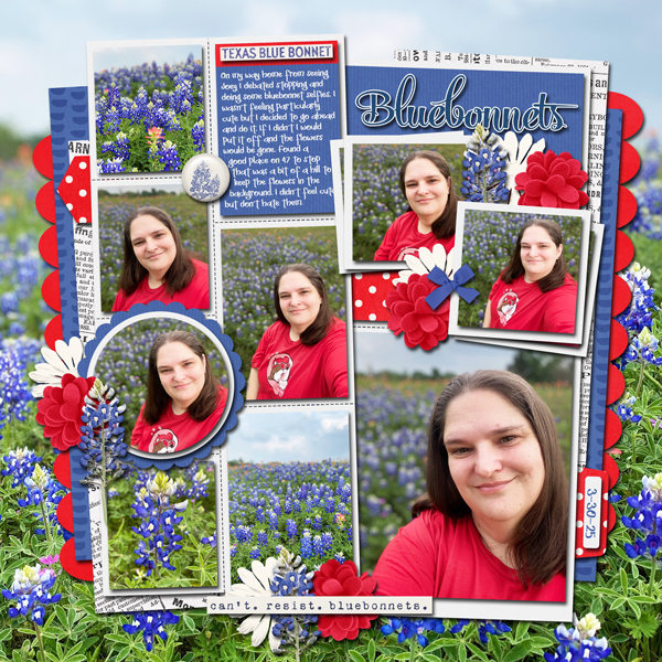Bluebonnets