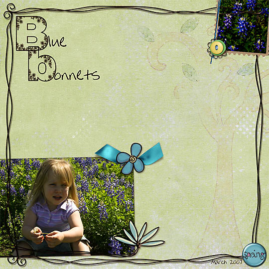 Bluebonnets_2007