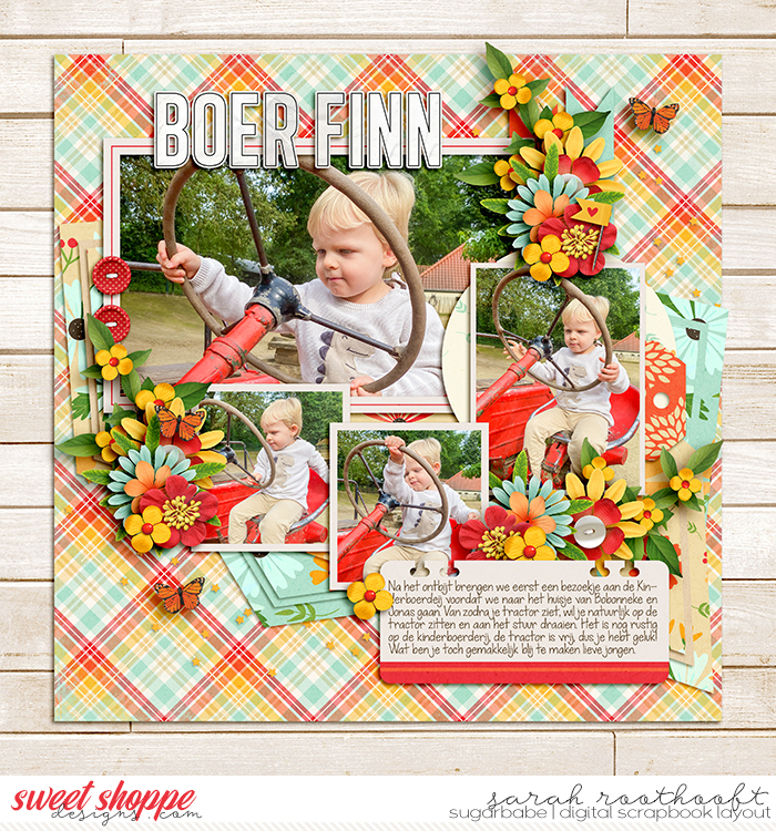 Boer Finn
