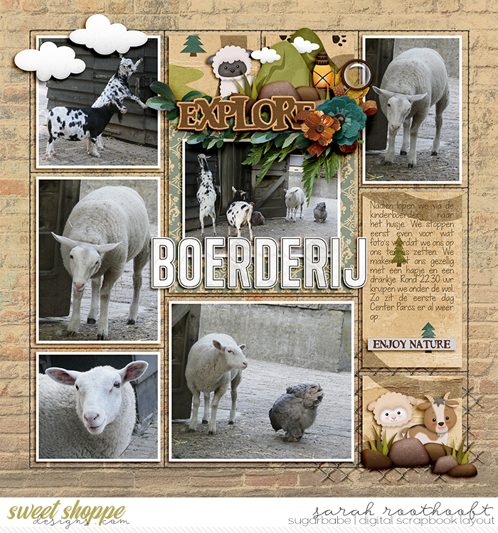 Boerderij
