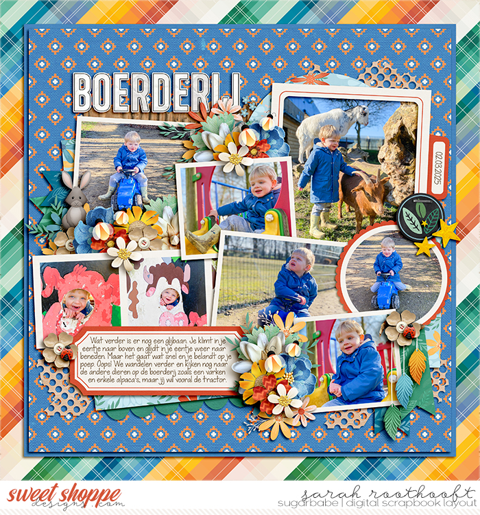 Boerderij