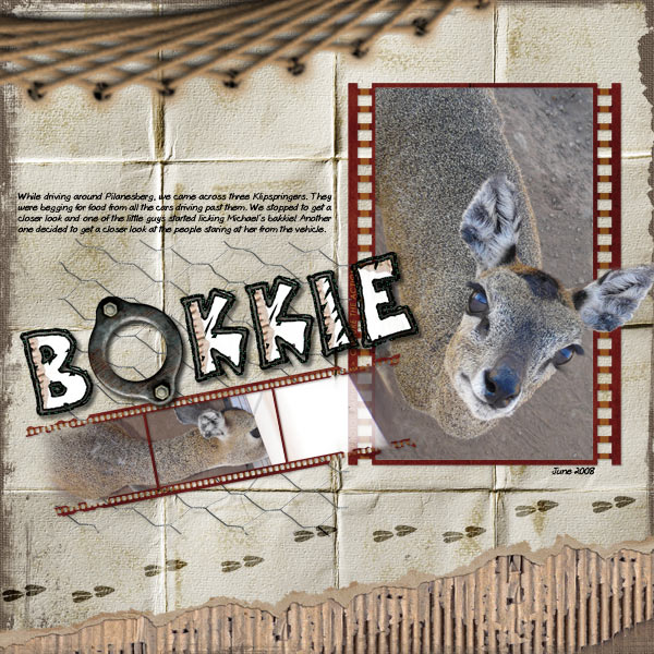 Bokkie