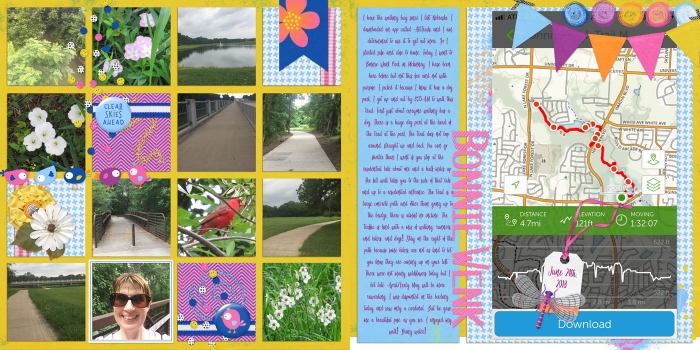 Bonnie Wenk June 2018