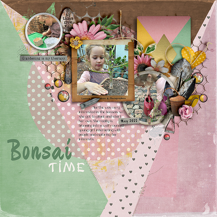 Bonsai Time