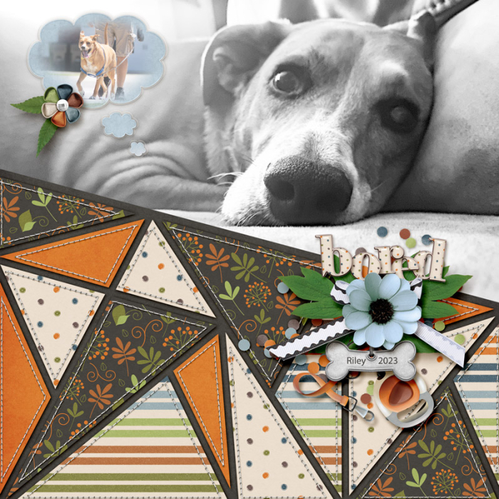 Bored2023web