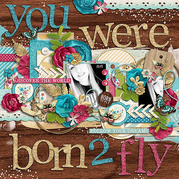 born 2 fly