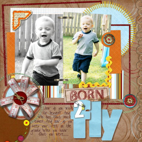Born 2 Fly