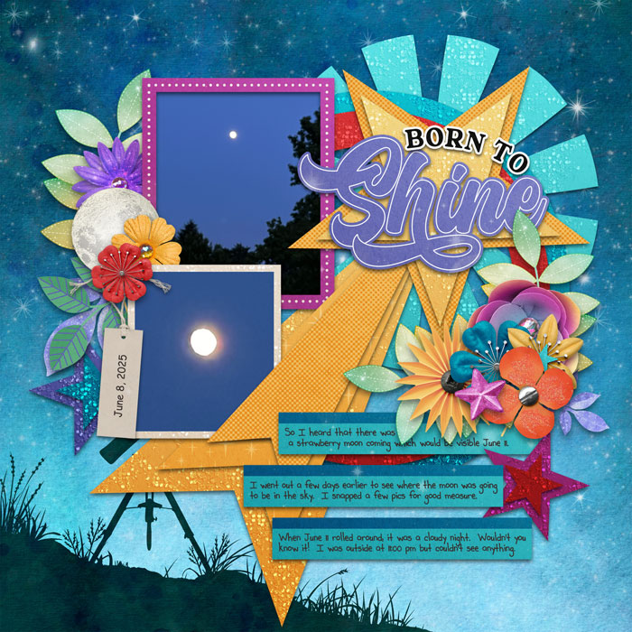 Born To Shine