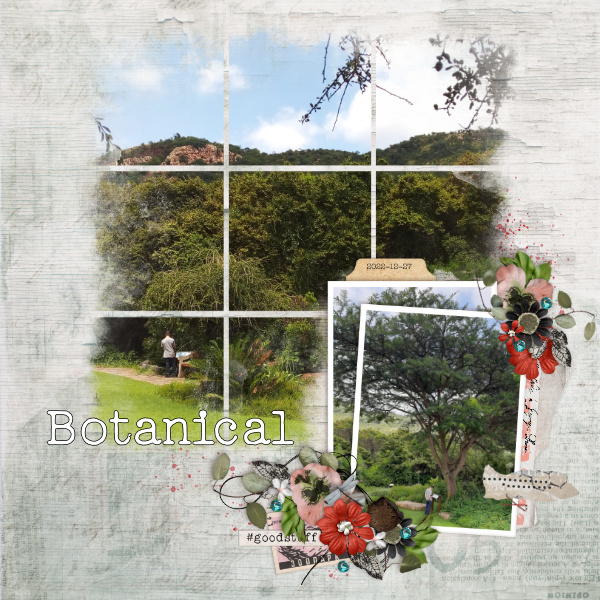 Botanical