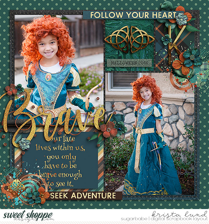 Brave Seeker 2014