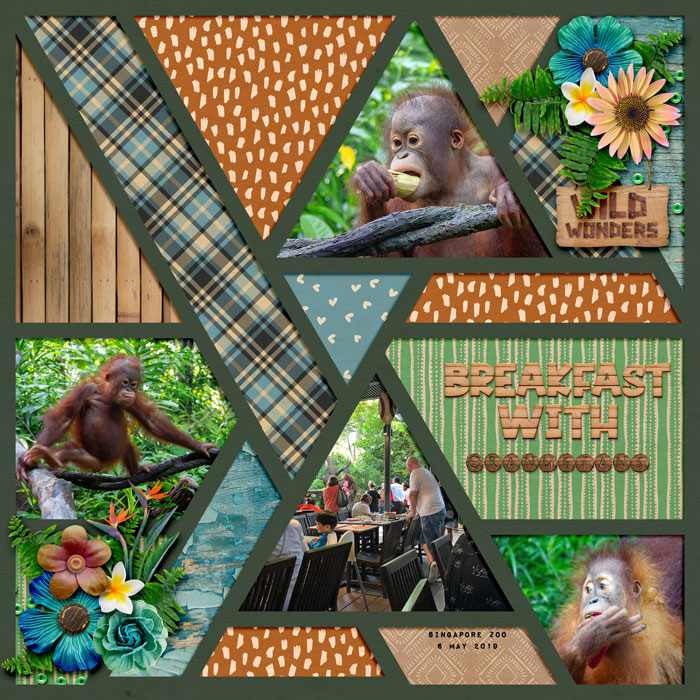 Breakfast with Orangutans