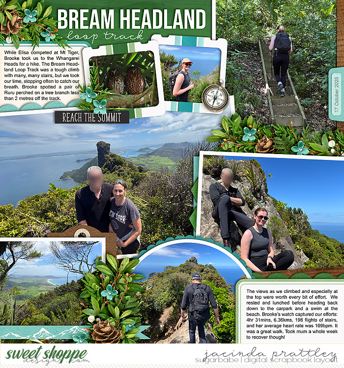 Bream Headland track