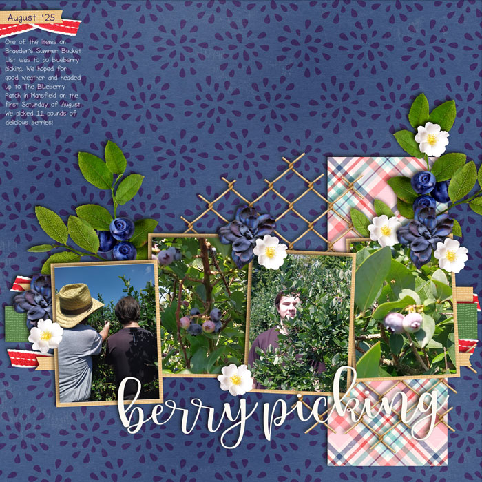 brittdes_blueberries_web